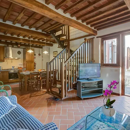 Comfortable Romeo Among Greenery - Happy