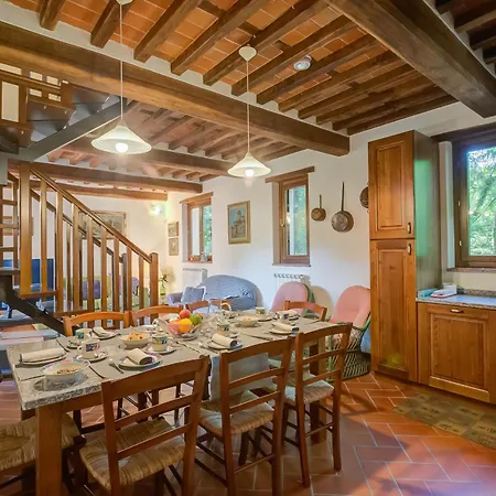 Comfortable Romeo Among Greenery - Happy